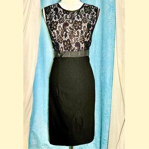 Unique Vintage Black Lace Sleeveless Pencil Dress